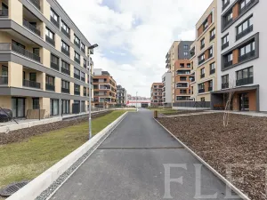 Pronájem bytu 1+kk, Praha - Hloubětín, Poděbradská, 30 m2