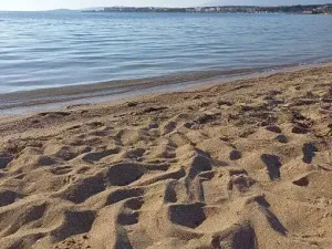 Prodej vily, Povljana, Chorvatsko, 318 m2