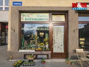 Pronájem obchodního prostoru, Ostrava - Moravská Ostrava, Nádražní, 35 m2