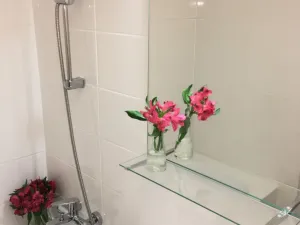 Pronájem bytu 1+1, Ostrava - Zábřeh, Horymírova, 33 m2