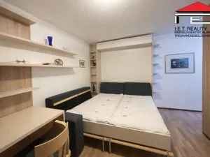 Pronájem bytu 1+kk, Brno, Údolní, 23 m2