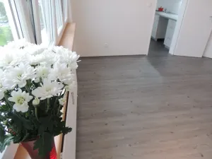 Pronájem bytu 2+1, Ostrava - Bělský Les, Ladislava Hosáka, 44 m2