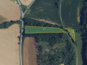 Prodej lesa, Městečko Trnávka, 9935 m2