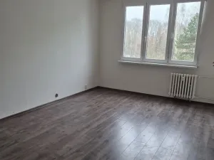 Pronájem bytu 2+1, Děčín - Děčín VI-Letná, 70 m2