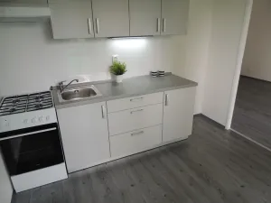 Pronájem bytu 1+1, Ostrava - Mariánské Hory, Gen. Hrušky, 38 m2