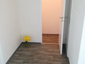 Pronájem bytu 1+1, Ostrava - Výškovice, Lužická, 39 m2