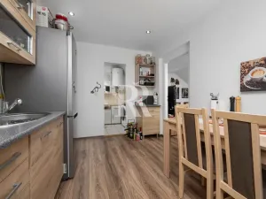 Prodej činžovního domu, Děčín, Březová, 347 m2