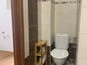 Pronájem bytu 2+kk, Praha - Vršovice, Vršovická, 48 m2