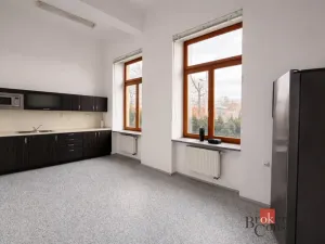 Pronájem kanceláře, Opava - Předměstí, Janská, 280 m2