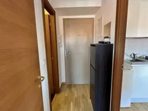Pronájem bytu 3+kk, Praha - Vyšehrad, Neklanova, 60 m2