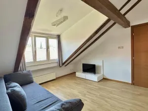 Pronájem bytu 3+kk, Praha - Vyšehrad, Neklanova, 60 m2