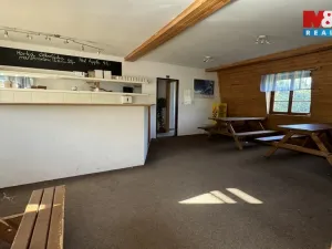 Prodej komerční nemovitosti, Plavy, 180 m2