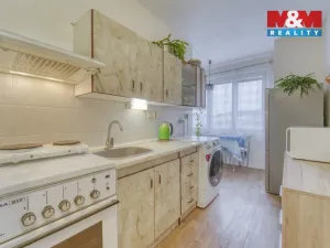 Pronájem bytu 1+1, Plzeň, Železničářská, 41 m2