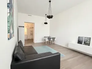 Pronájem bytu 2+1, Praha - Nové Město, Opletalova, 80 m2