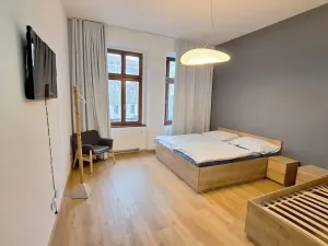 Prodej rodinného domu, Teplice, Laubeho náměstí, 425 m2