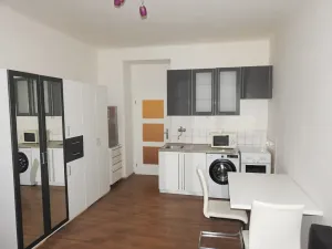 Pronájem bytu 1+kk, Praha - Žižkov, Žerotínova, 24 m2