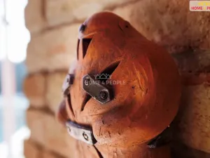 Prodej chaty, Hrušovany u Brna, 50 m2