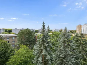 Prodej bytu 4+kk, Praha - Žižkov, Pod lipami, 75 m2