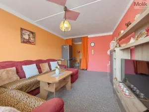 Prodej bytu 2+kk, Most, Františka Malíka, 39 m2