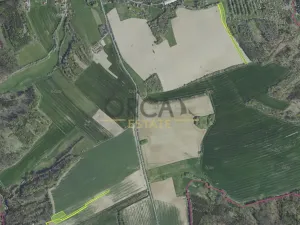 Prodej pole, Ondřejov, 13548 m2