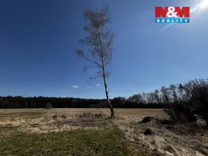 Prodej chalupy, Benešov nad Černou - Klení, 85 m2