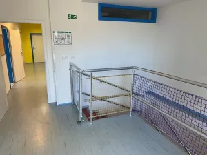 Pronájem komerční nemovitosti, Praha - Liboc, Na Džbánu, 500 m2