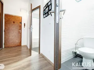 Prodej bytu 2+1, Hradec Králové, Pod Zámečkem, 60 m2