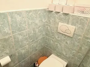 Prodej bytu 2+1, Bučovice, U Škol, 52 m2