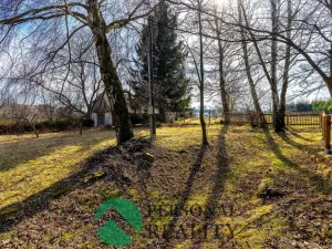 Prodej chalupy, Holetín - Dolní Holetín, 96 m2