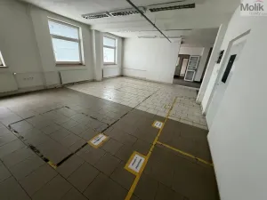 Pronájem skladu, Žatec - Velichov, 275 m2