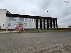 Pronájem skladu, Žatec - Velichov, 275 m2