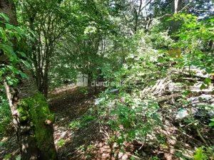 Prodej pozemku pro bydlení, Liberec - Liberec XXX-Vratislavice nad Nisou, Pod Skalkou, 5544 m2