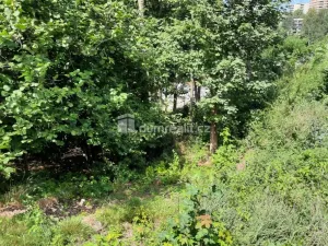 Prodej pozemku pro bydlení, Liberec - Liberec XXX-Vratislavice nad Nisou, Pod Skalkou, 5544 m2