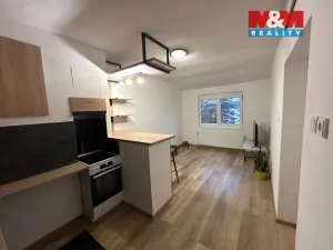 Pronájem bytu 1+kk, Milevsko, Masarykova, 30 m2