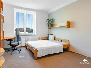 Prodej bytu 2+1, Plzeň - Východní Předměstí, Brojova, 58 m2