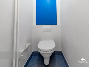 Prodej bytu 2+1, Plzeň - Východní Předměstí, Brojova, 58 m2