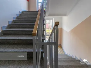 Prodej bytu 2+1, Plzeň - Východní Předměstí, Brojova, 58 m2