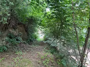 Pronájem zahrady, Křivoklát, 770 m2