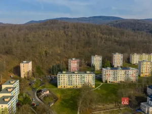 Prodej bytu 1+1, Litvínov - Horní Litvínov, Tylova, 36 m2