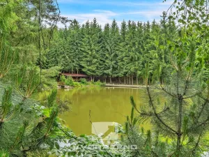 Prodej chalupy, Sudslava, 80 m2