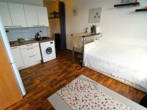 Prodej bytu 1+1, Chomutov, Jirkovská, 36 m2