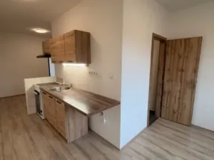 Pronájem bytu 2+1, Chomutov, Školní pěšina, 59 m2