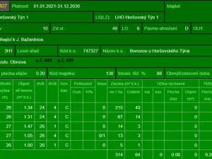 Prodej podílu lesa, Horšovský Týn, 4280 m2