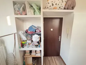 Pronájem bytu 1+1, Praha - Dejvice, Pod kaštany, 14 m2