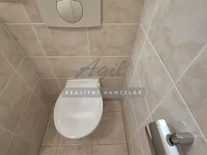 Pronájem bytu 1+kk, Brno, 50 m2