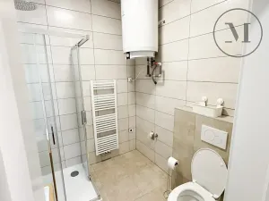Pronájem bytu 1+kk, České Budějovice, Družstevní, 30 m2