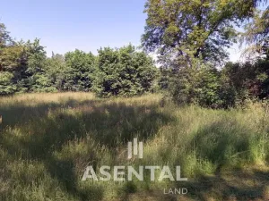 Prodej komerčního pozemku, Karviná - Lázně Darkov, Svornosti, 7253 m2