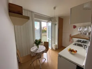 Pronájem bytu 1+1, Brno, Lužická, 33 m2