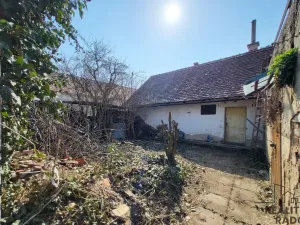 Prodej chalupy, Tavíkovice - Dobronice, 95 m2