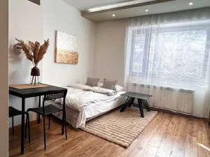 Prodej bytu 2+kk, Ostravice, 37 m2